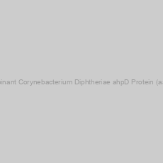 Image of Recombinant Corynebacterium Diphtheriae ahpD Protein (aa 1-174)